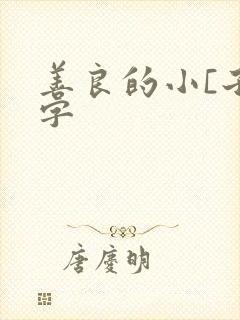善良的小[子中字