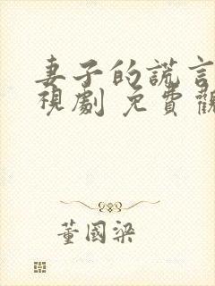 妻子的谎言 电视剧 免费观看