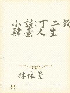 小说:丁二狗的肆意人生