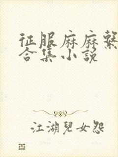 征服麻麻系列大合集小说封面