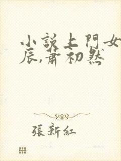 小说上门女婿叶辰,萧初然