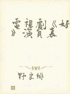 电视剧《好团圆》演员表封面