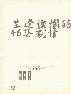 生逢灿烂的日子46集剧情