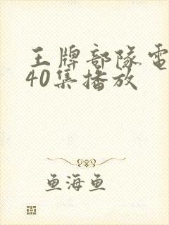 王牌部队电视剧40集播放