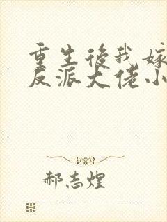 重生后我嫁给了反派大佬小说