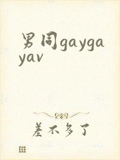 男同gaygayav
