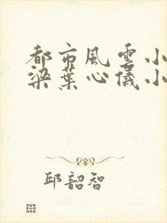 都市风云小说乔梁叶心仪小说