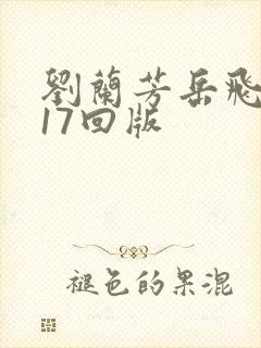 刘兰芳岳飞传117回版