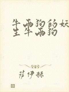 牛两狗的妖孽人生牛两狗