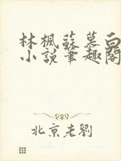 林枫苏慕白穿越小说笔趣阁