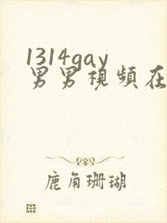 1314gay男男视频在线观看