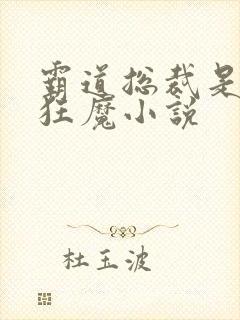 霸道总裁是宠妻狂魔小说