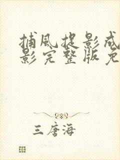 捕风捉影成龙电影完整版免费观看高清