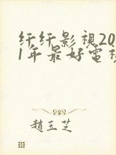 纤纤影视2021年最好电视剧功