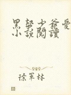 黑帮少爷爱上我小说阅读封面
