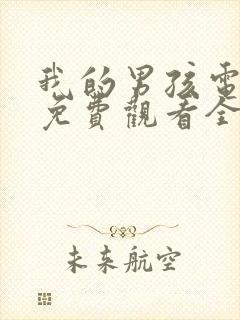 我的男孩电视剧免费观看全集