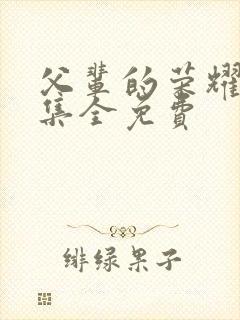 父辈的荣耀40集全免费封面