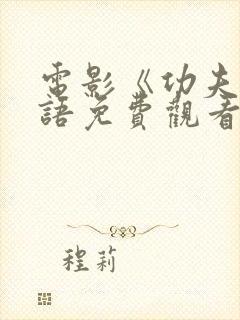 电影《功夫》国语免费观看封面