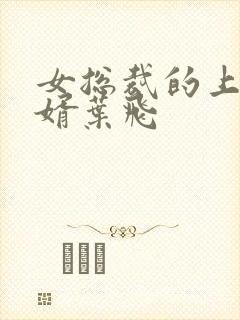 女总裁的上门女婿叶飞