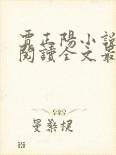 贾正阳小说免费阅读全文最新章节