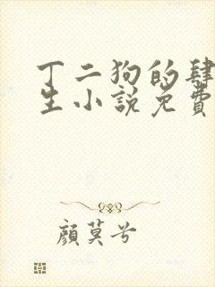 丁二狗的肆意人生小说免费阅读封面