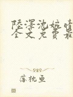 陆泽沈婉晴小说全文免费最新更新