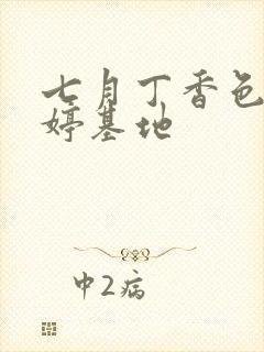 七月丁香色婷婷婷基地封面