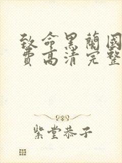 致命黑兰国语免费高清完整版在线观看封面