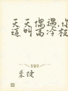 天天偶遇,你管这叫高冷校花?的封面