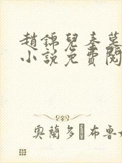 赵锦儿秦慕修的小说免费阅读全文