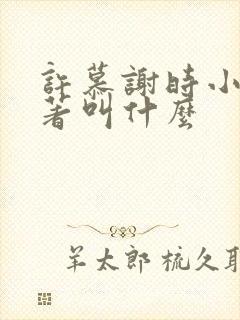 许慕谢时小说原著叫什么