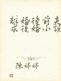 离婚后前夫哭着求复婚小说免费阅读