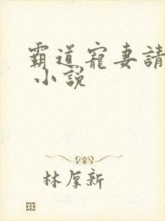 霸道宠妻请让开 小说