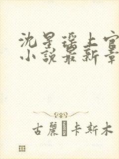 沈星瑶上官容渊小说最新章节列表