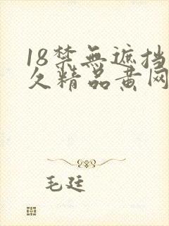 18禁无遮挡久久精品黄网封面