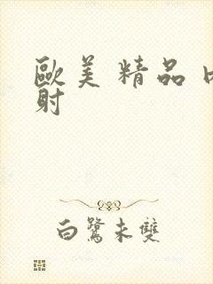 欧美 精品 内射