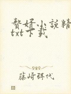 赘婿小说精校版txt下载