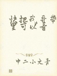 快把我哥带走哪里可以看封面