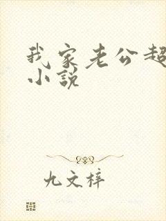 我家老公超宠哒小说封面