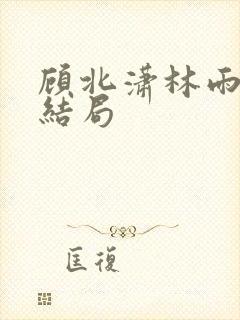 顾北潇林雨菲大结局封面
