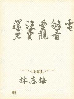 还没爱够电视剧免费观看