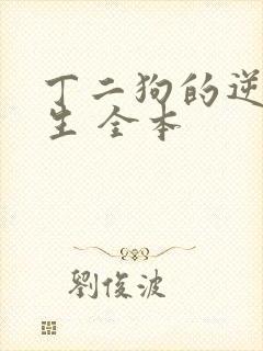 丁二狗的逆袭人生 全本封面