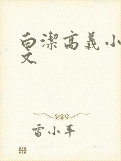 白洁高义小说全文