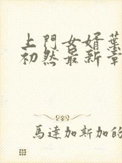 上门女婿叶辰萧初然最新章节免费阅读