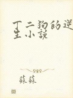 丁二狗的逆袭人生小说