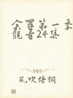 余罪第一季在线观看24集