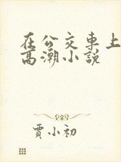 在公交车上被弄高潮小说