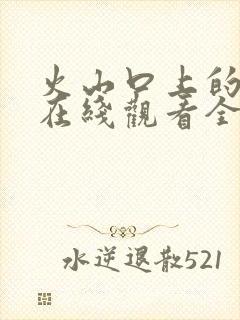 火山口上的两人在线观看全集