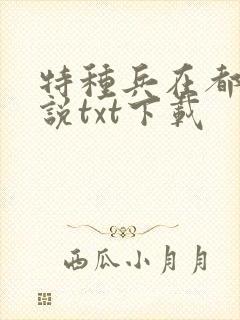 特种兵在都市小说txt下载封面