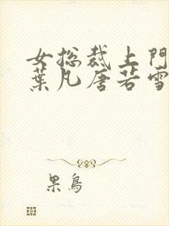 女总裁上门女婿叶凡唐若雪封面